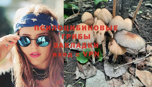 первитин Карпинск