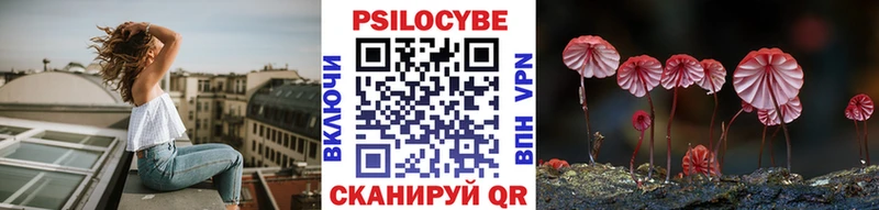 Псилоцибиновые грибы мицелий  Купить закладки  Бобров 
